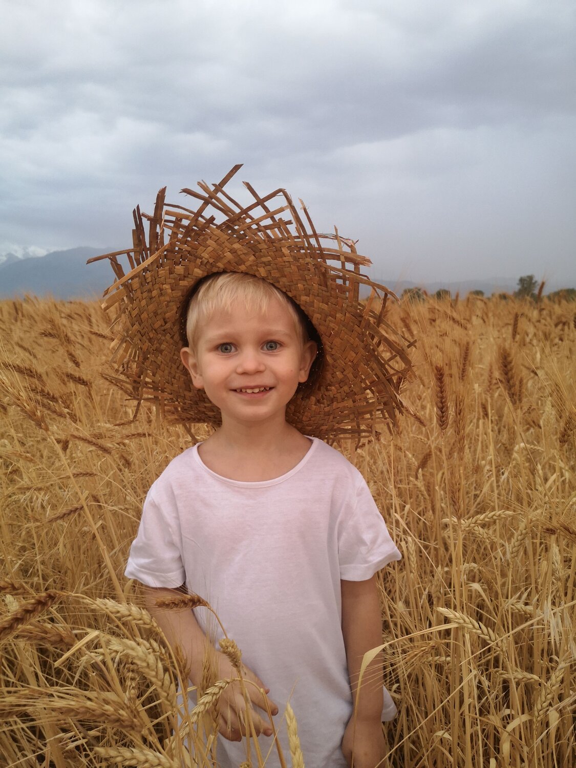 Photo #6793384
