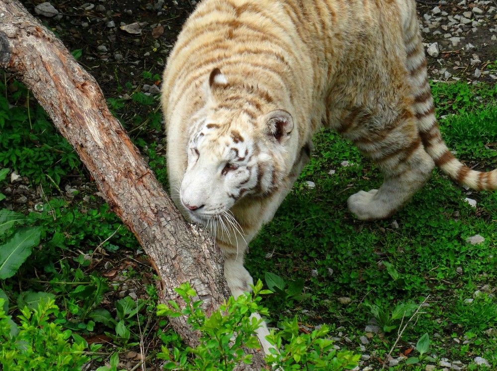 Photograph by Марина Раткун