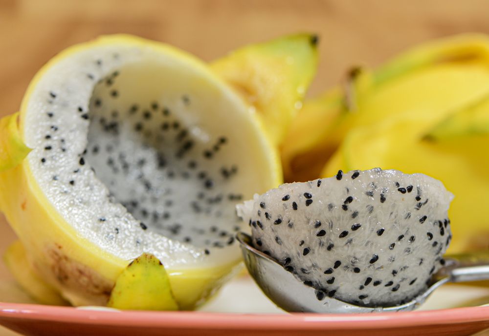 Photograph by Tatyana Klimenko