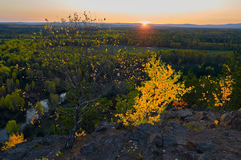 Прощальный цвет осени.