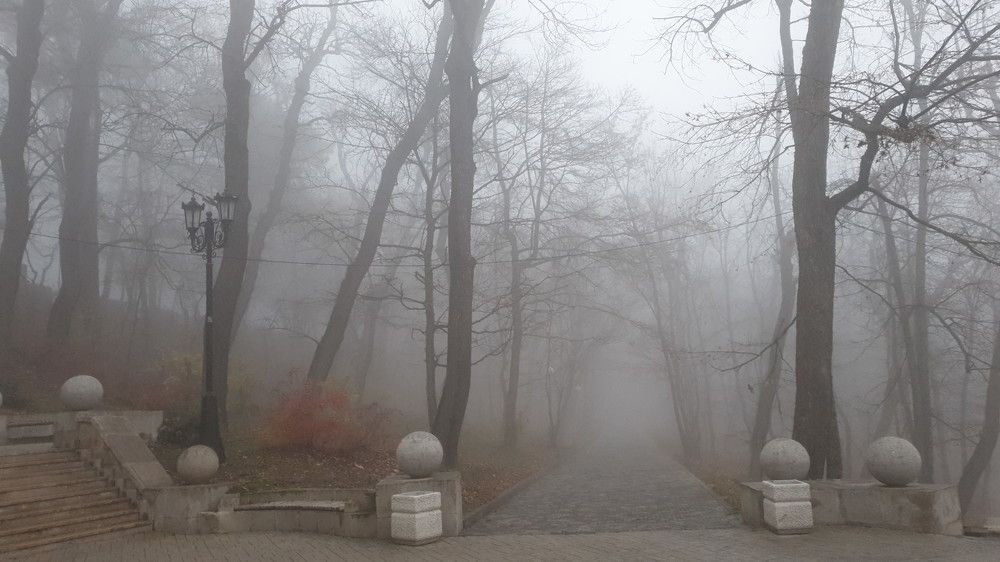 Photograph by Алина