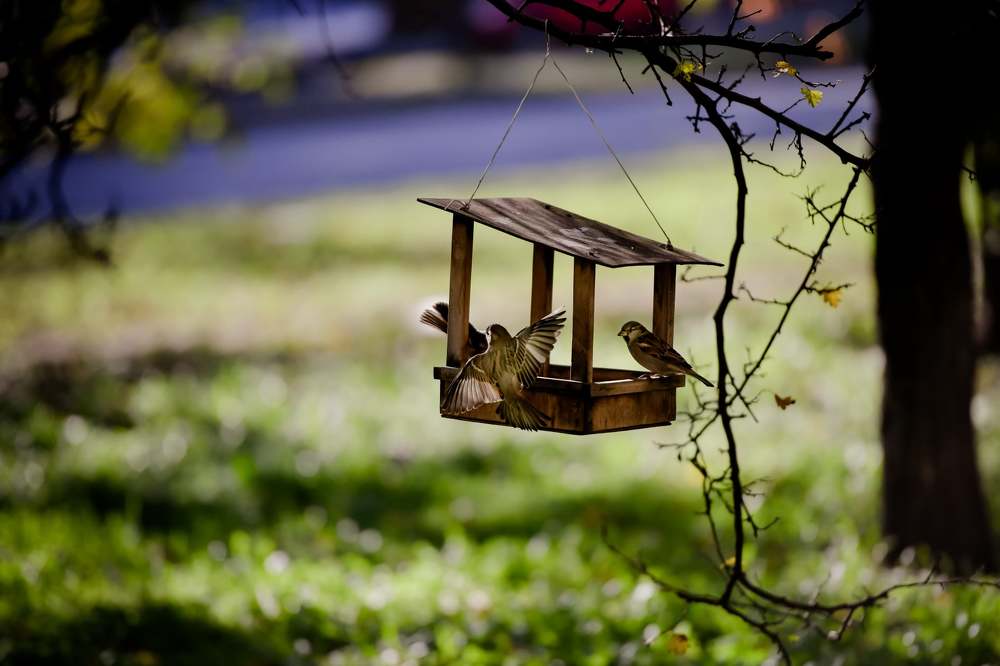 Photograph by Сергей