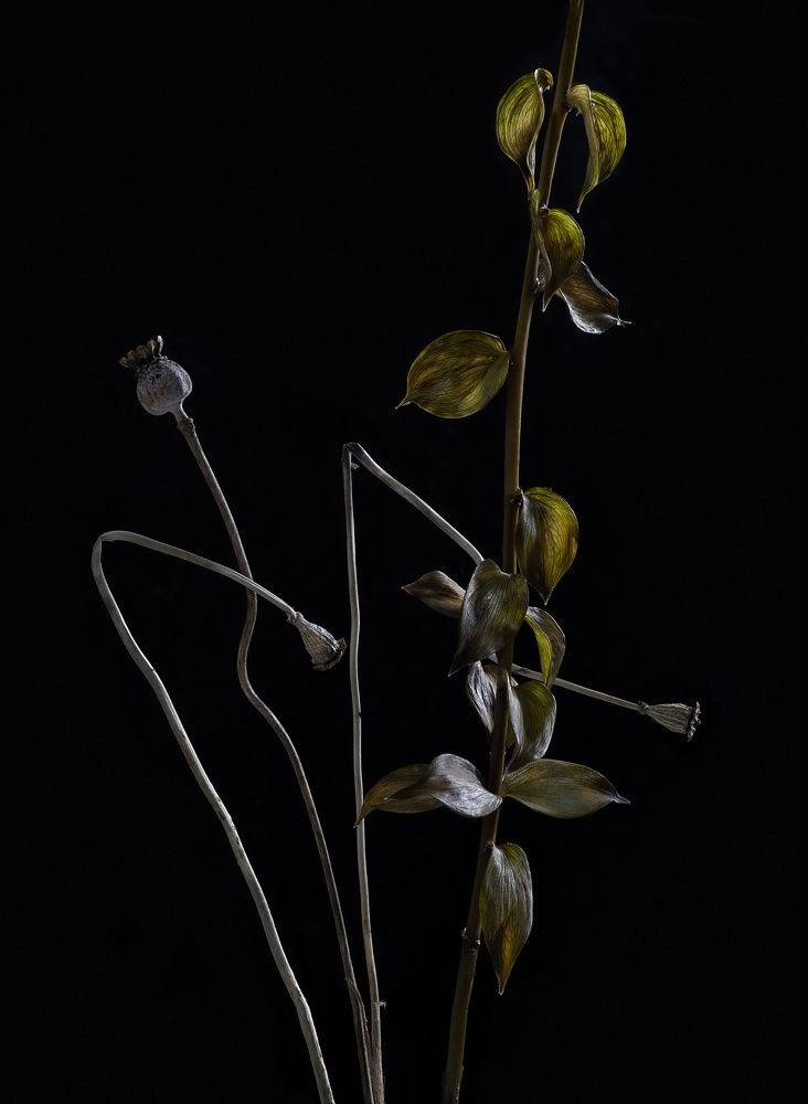 Фотография автора Валентин Черновол