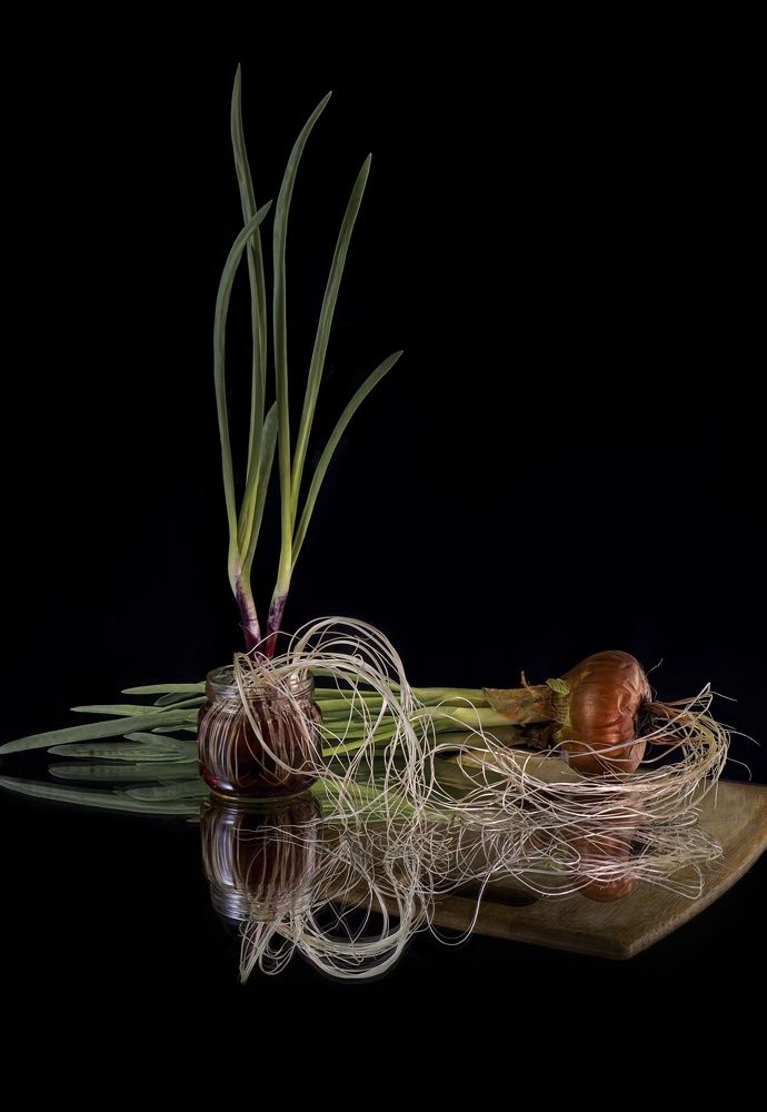 Фотография автора Валентин Черновол