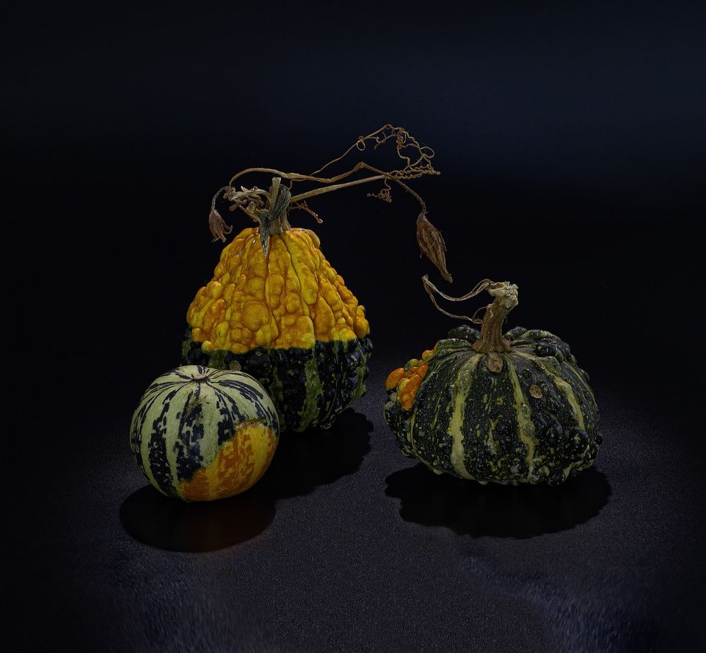 Фотография автора Валентин Черновол