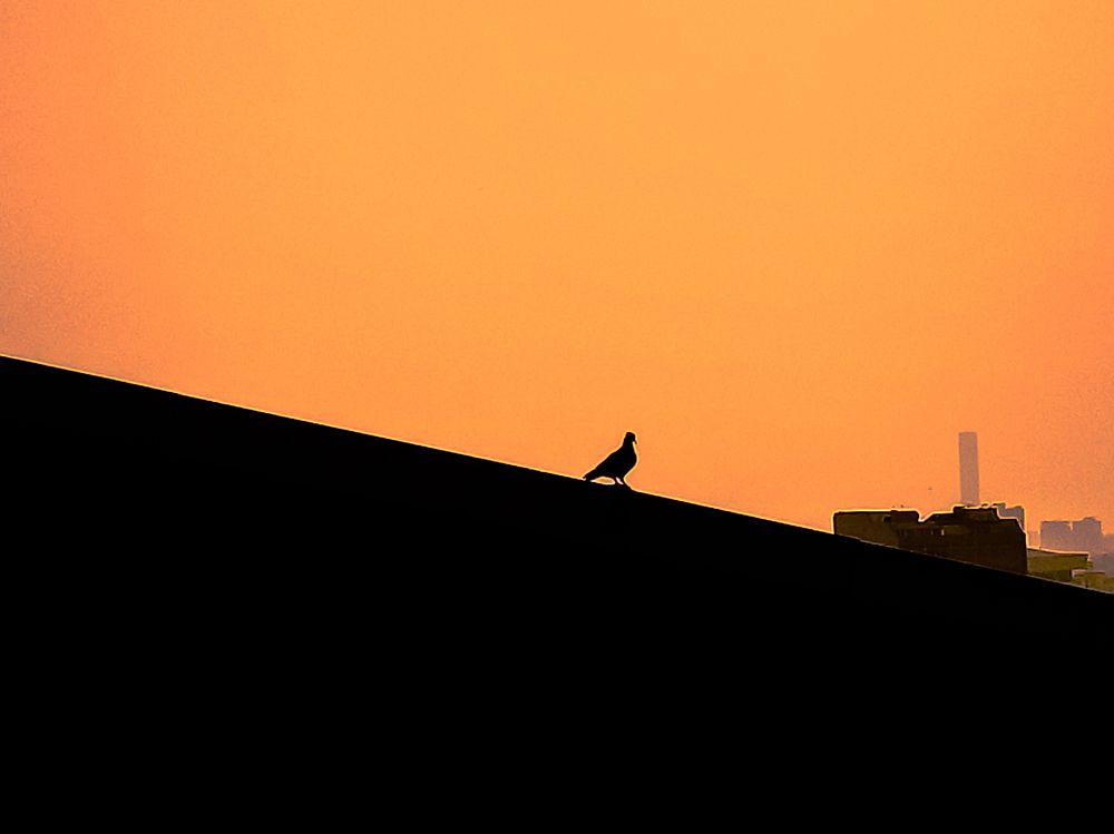 Photograph by Tuhin Chakraborty