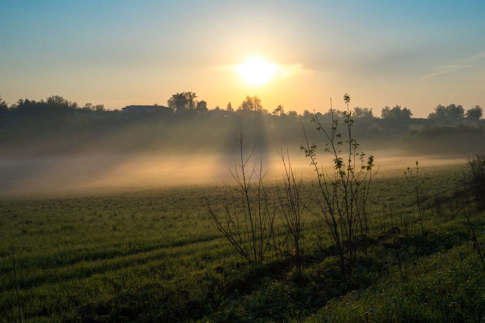 Photograph by Светлана Кондрашова