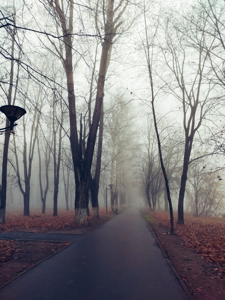 Photograph by Анна Паулюконети