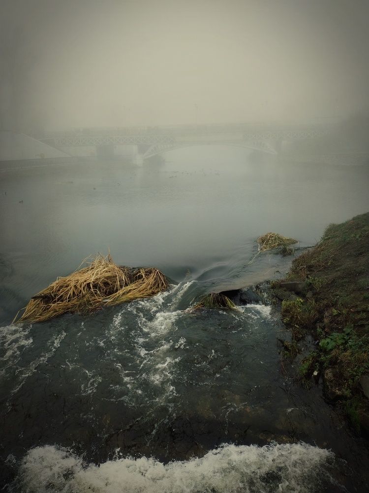 Photograph by Анна Паулюконети