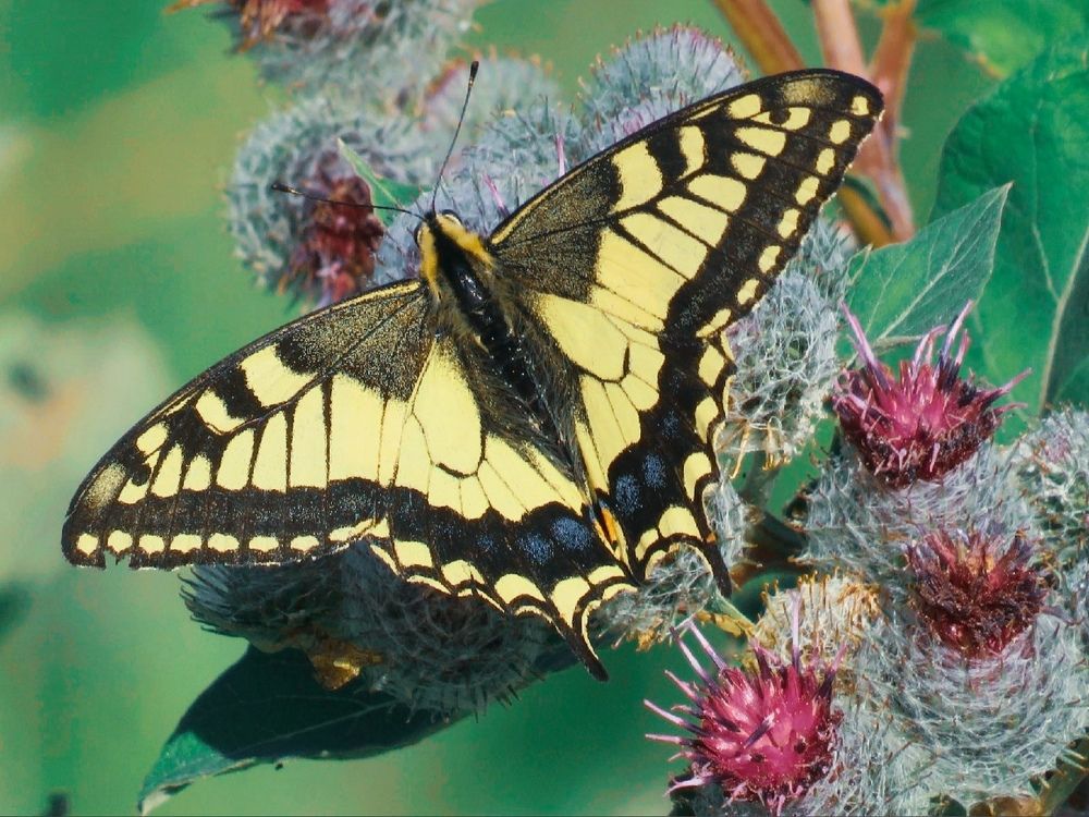 Photograph by Елена Гарипова