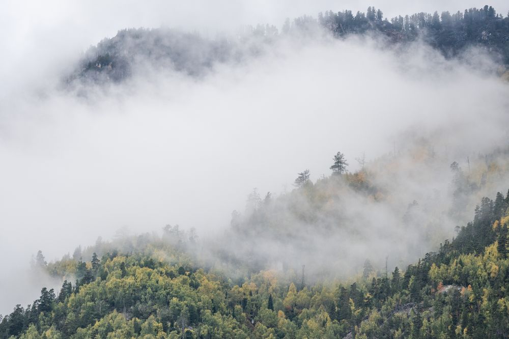 Photograph by Анастасия Григорян