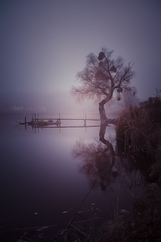 Photograph by Анна Пикаленко