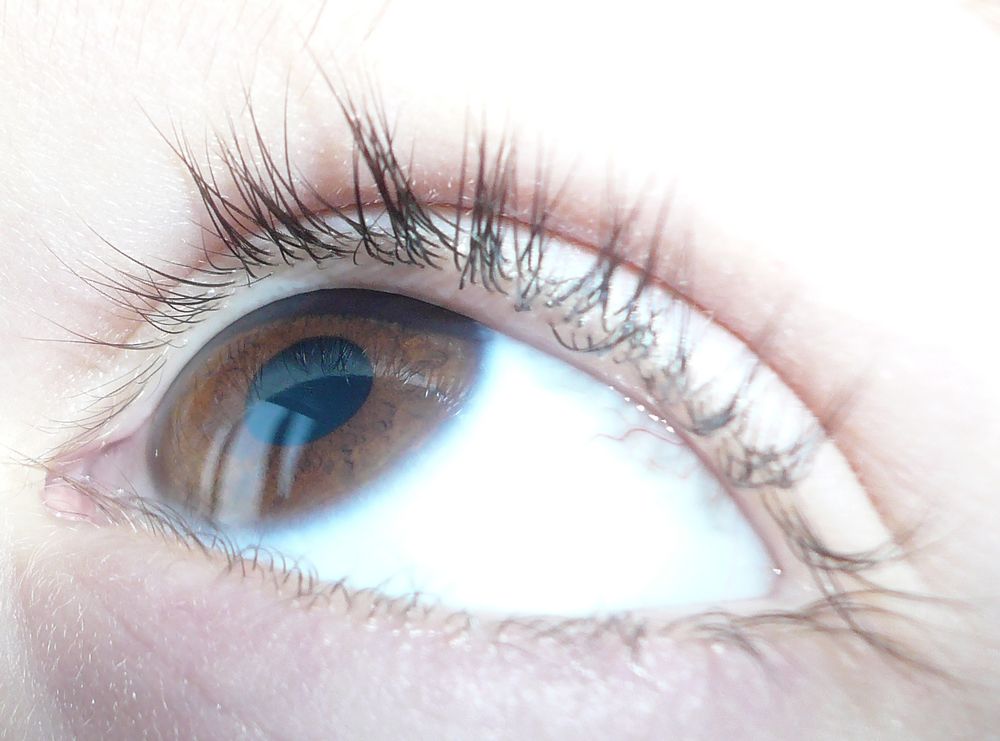 Photograph by Carine Czerwonogora