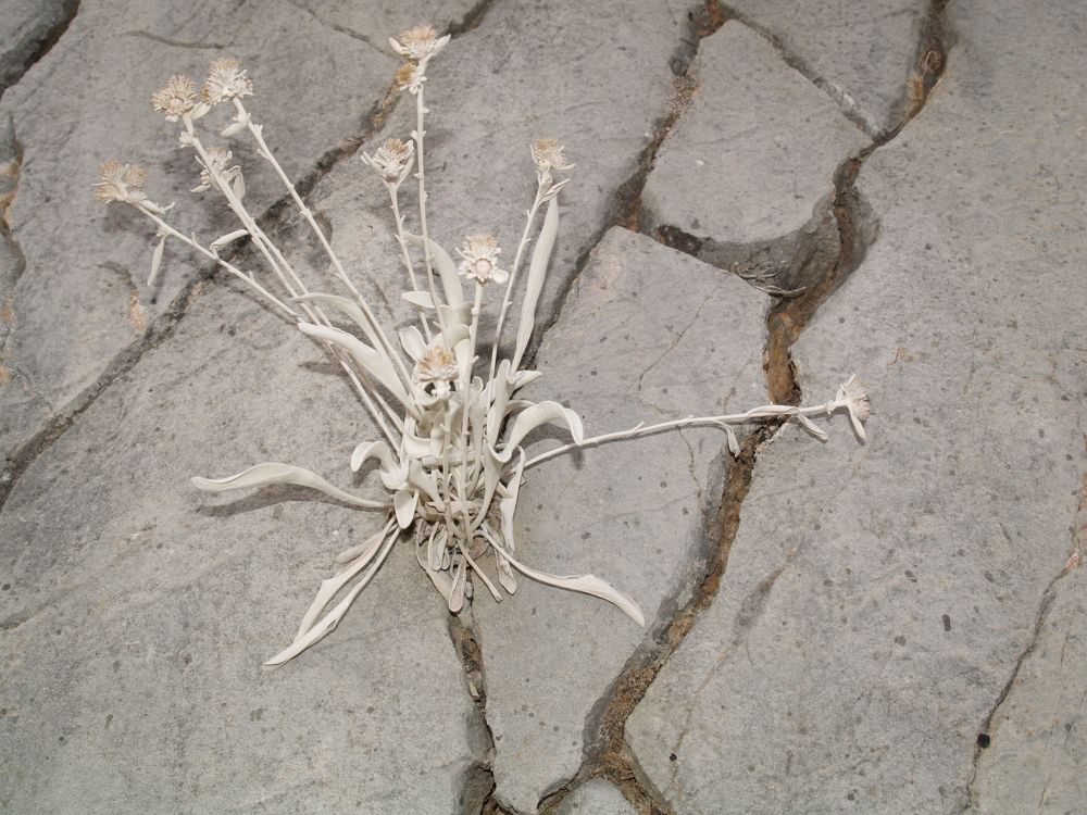 Фотография автора Dubravko Maricic