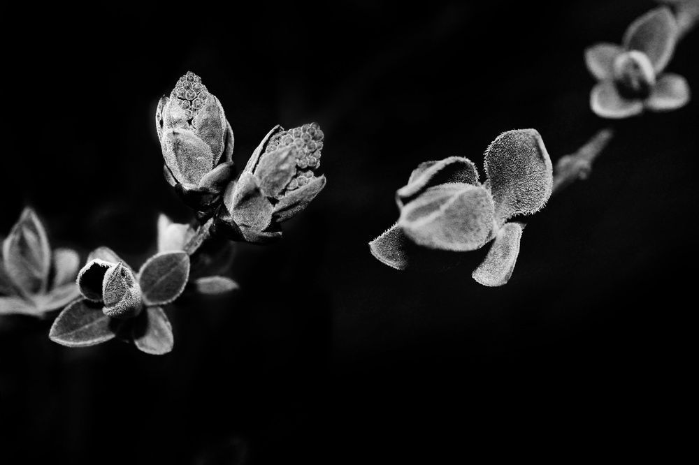 Притяжение