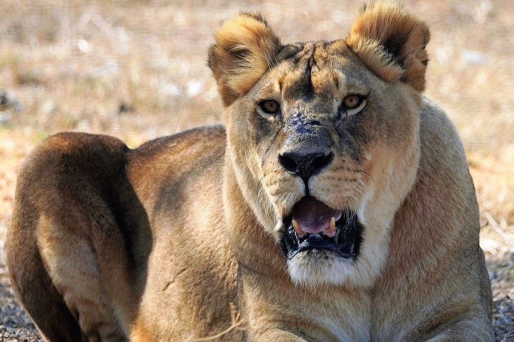 Photograph by Tamir Mor