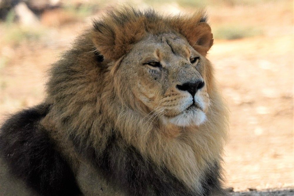 Photograph by Tamir Mor