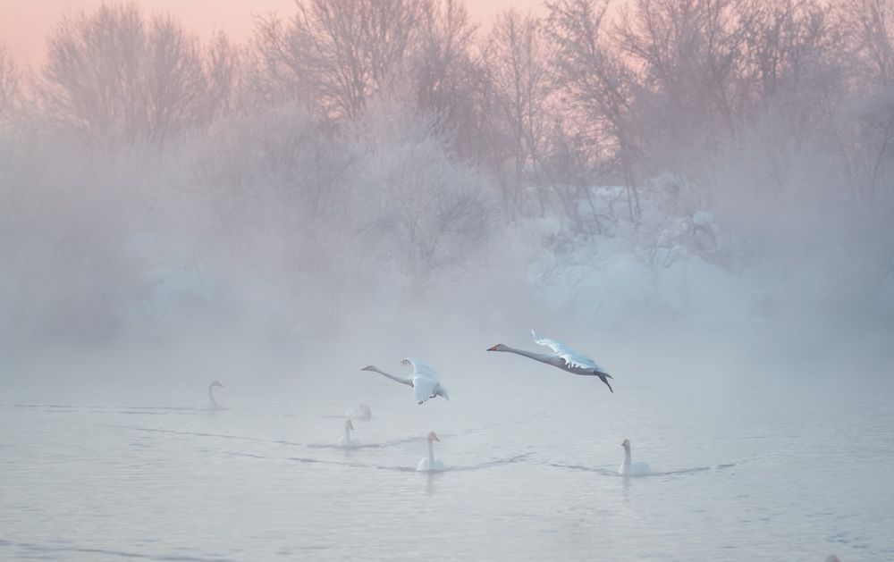 Photograph by Ольга Рагинская