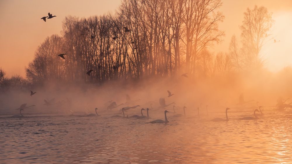 Photograph by Ольга Рагинская