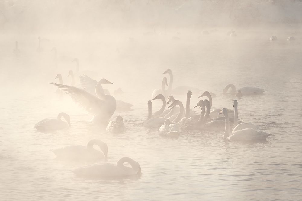 Photograph by Ольга Рагинская