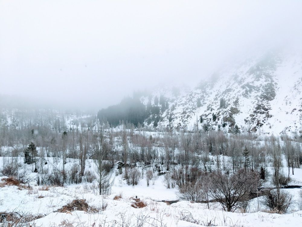 Photograph by Александра Милованова