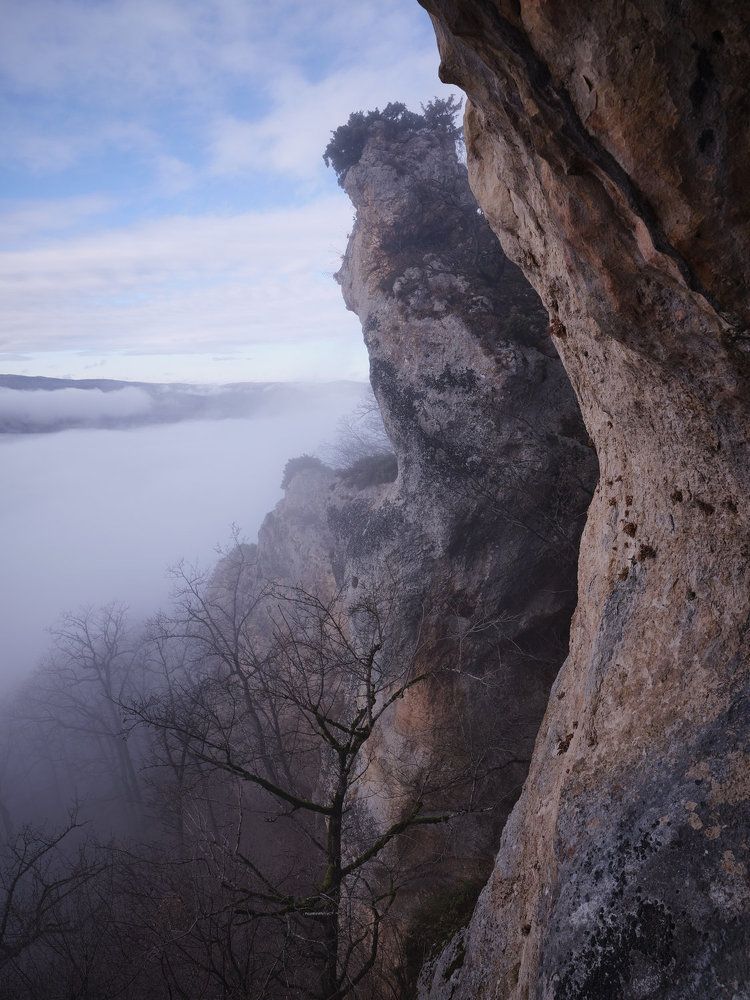 Photograph by Ирина