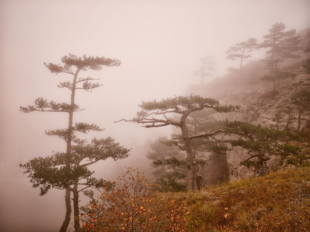 Photograph by Ирина