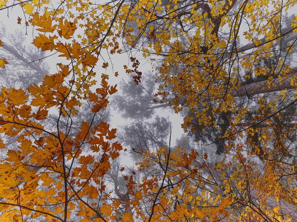 Photograph by Ирина