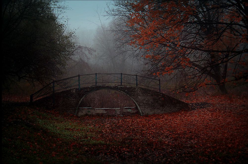 Фотография автора Igor Shashko