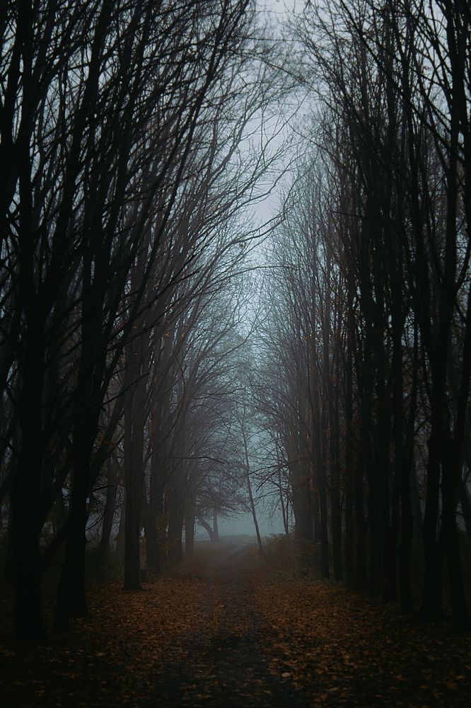 Фотография автора Igor Shashko