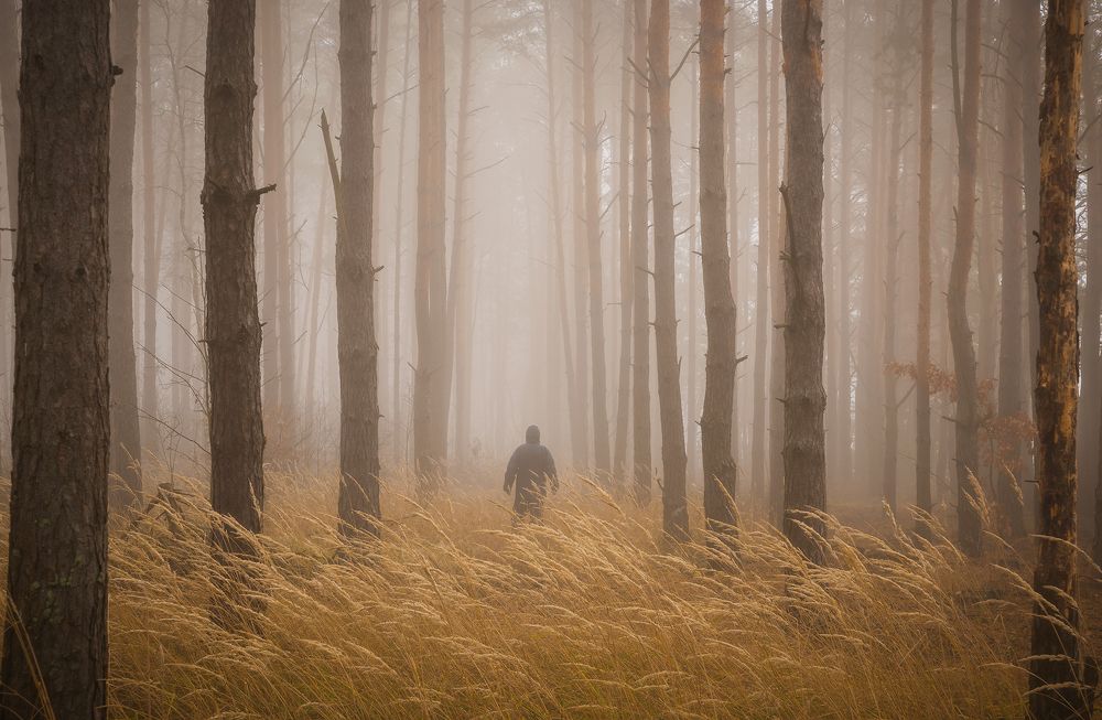 Ноябрьский туман