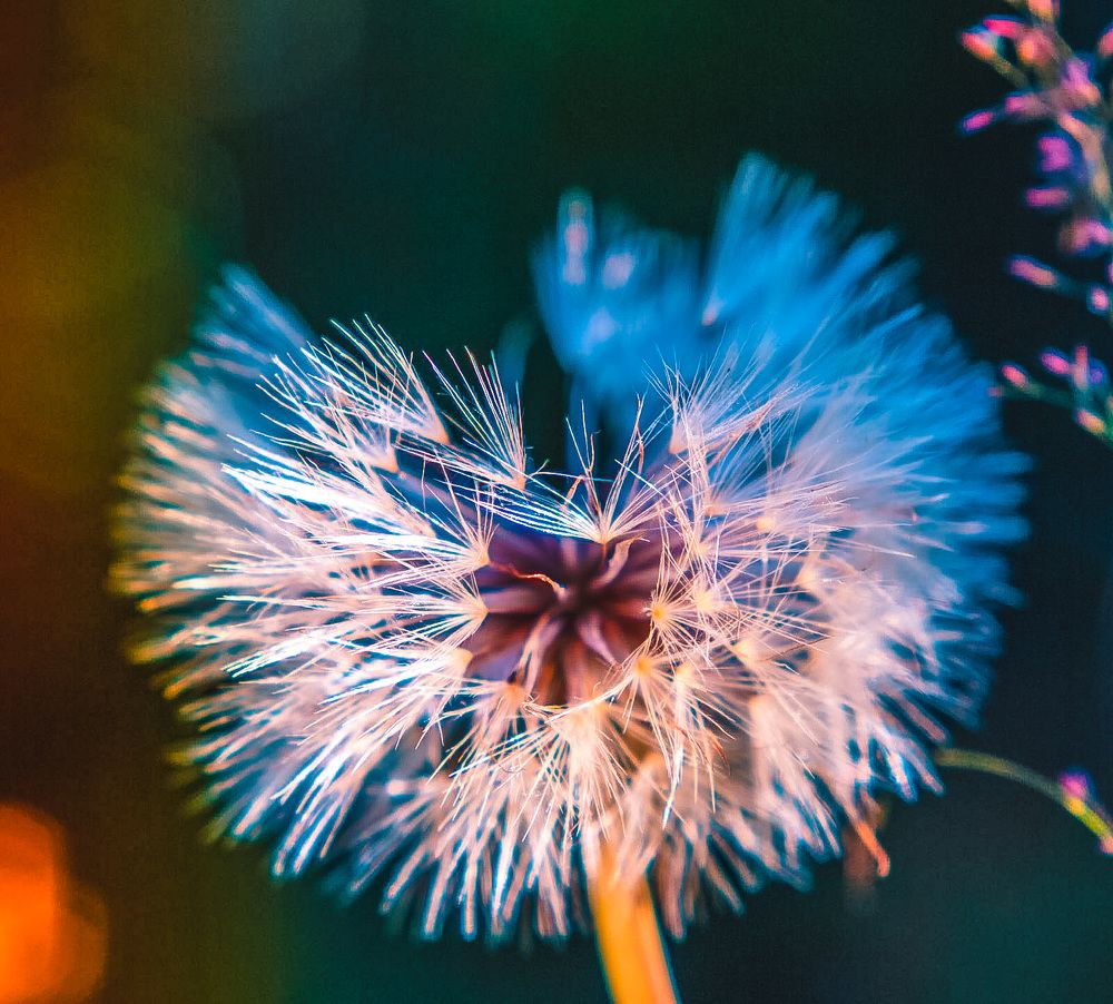 Photograph by Светлана Гринкевич