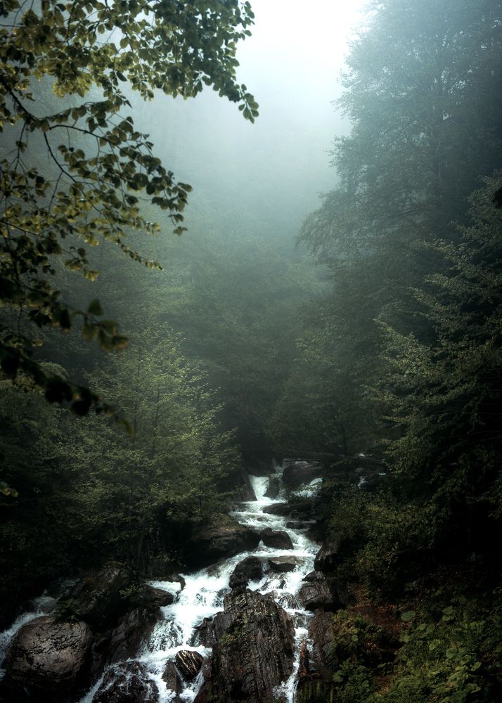 Photograph by Виктор Торба