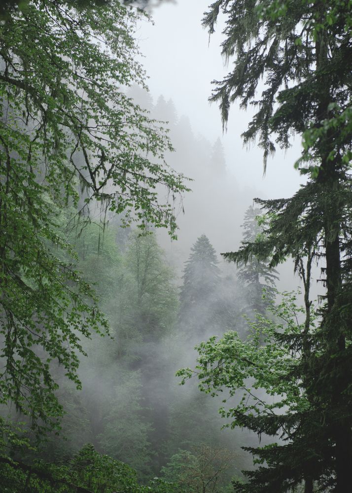 Photograph by Виктор Торба