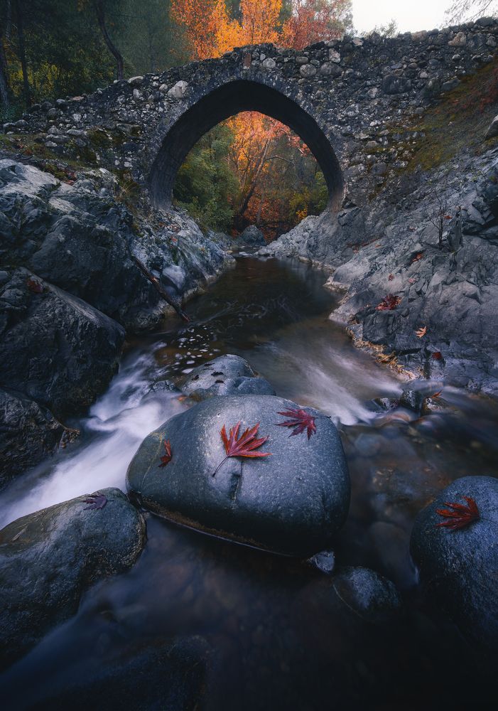 Photograph by Evgeni Fabis