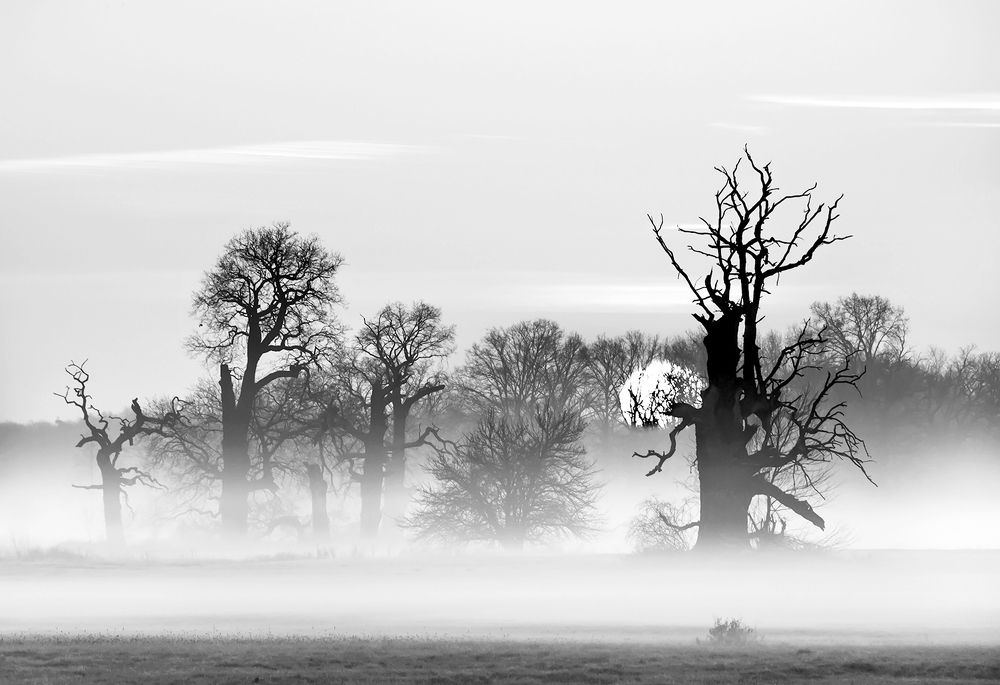 Photograph by MARIAN SKAPSKI