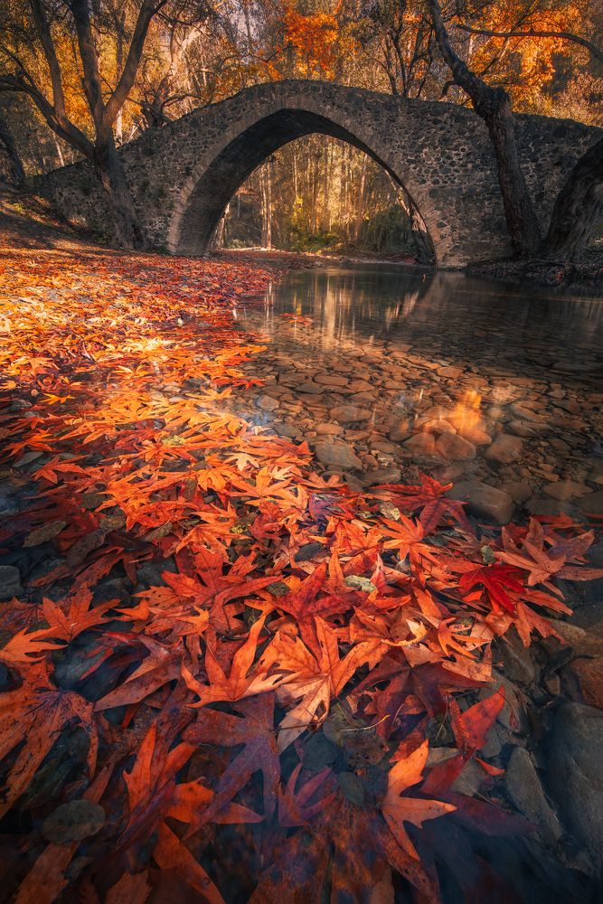 Photograph by Evgeni Fabis