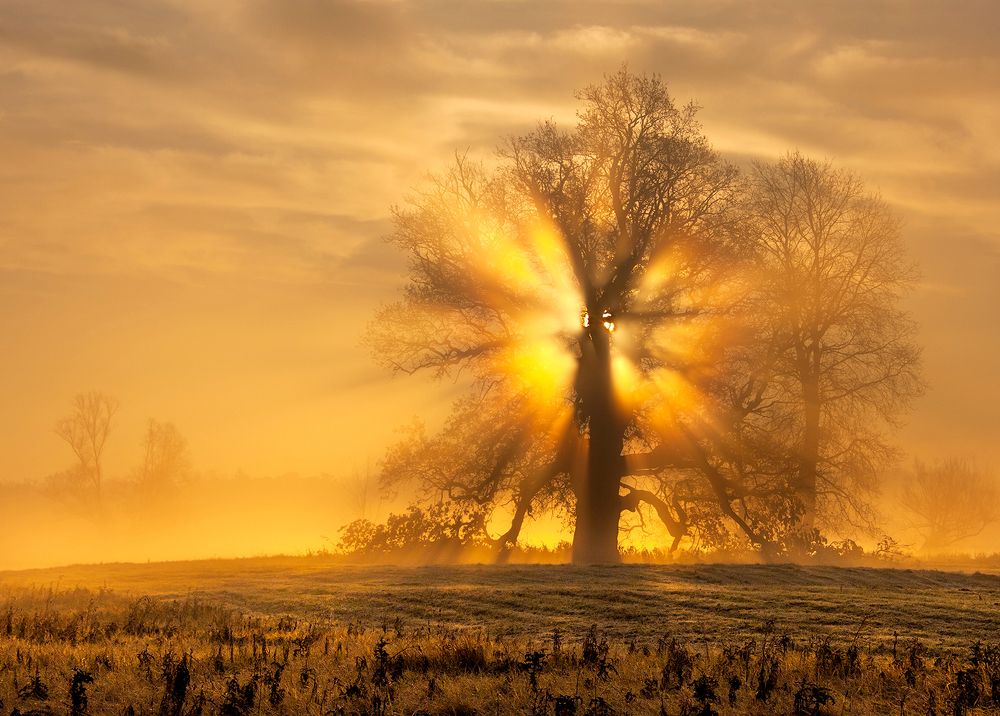 Photograph by MARIAN SKAPSKI