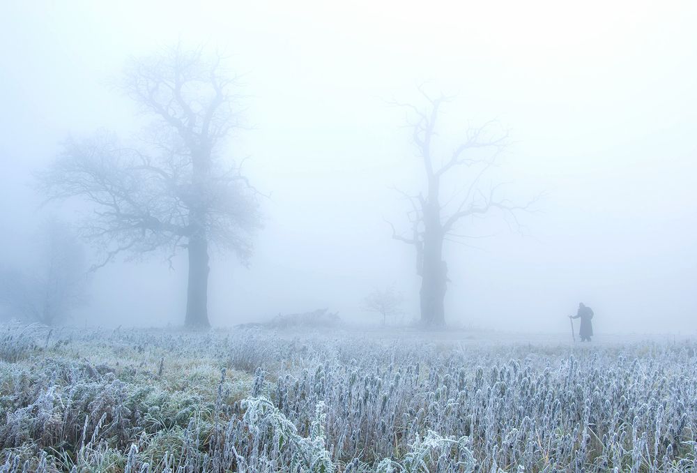 Photograph by MARIAN SKAPSKI