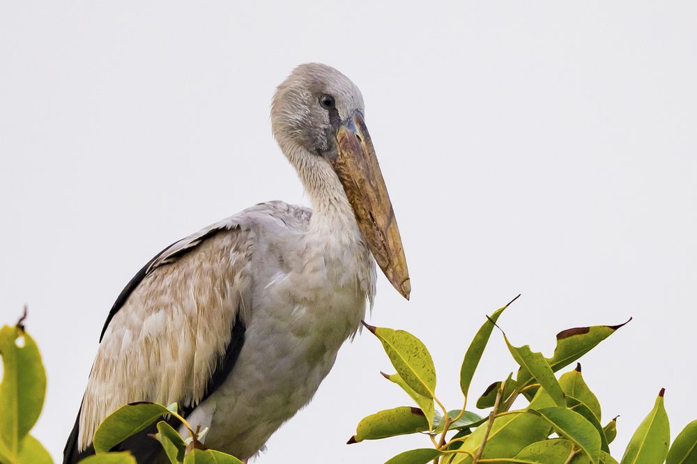 Photograph by Sameer Bhalekar