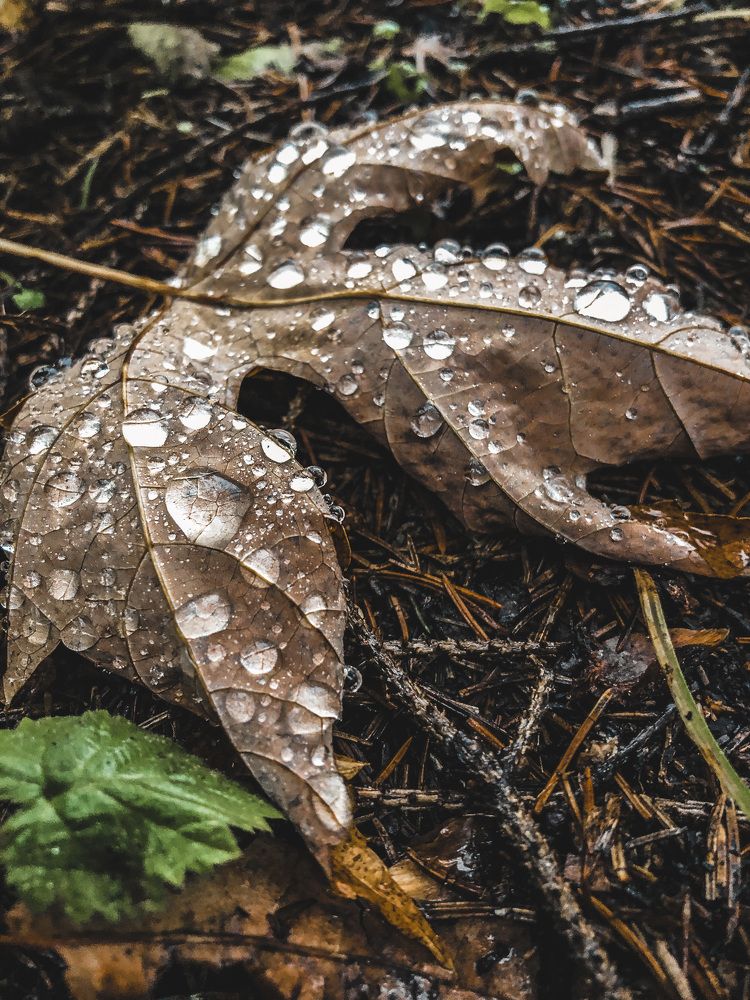 Photograph by Светлана Гринкевич