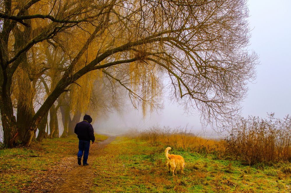 Photograph by Евгений Каримов