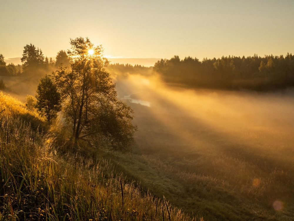 Photograph by Svetlana Dorokhova