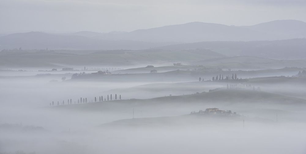 Photograph by zorič sandi