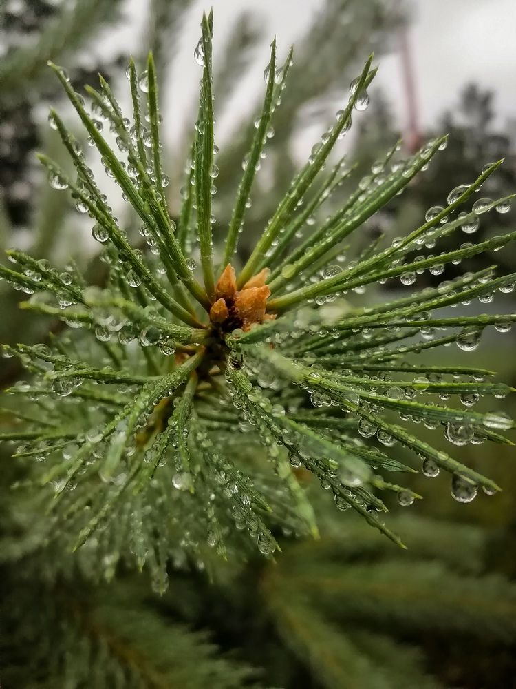 Photograph by Светлана