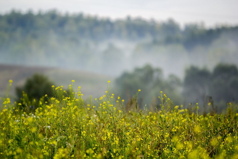 Photograph by Ilуа Chirkov