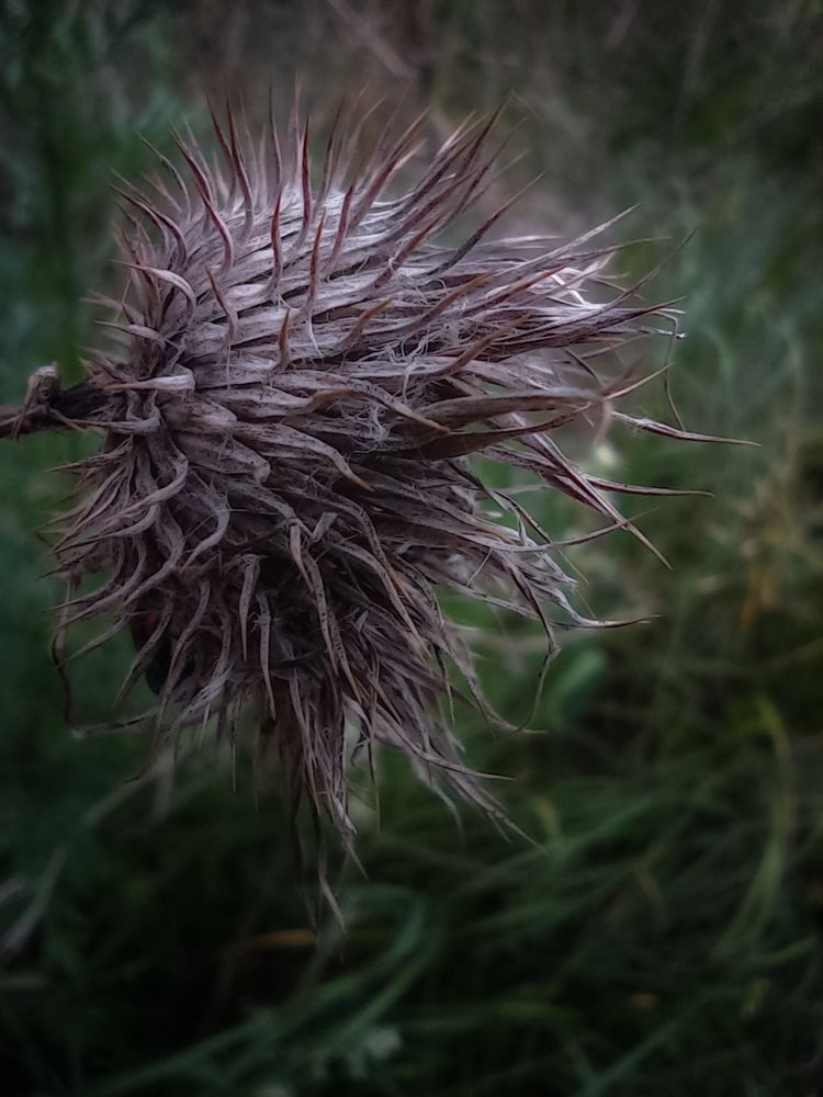 Photograph by Наталья Стальмакова