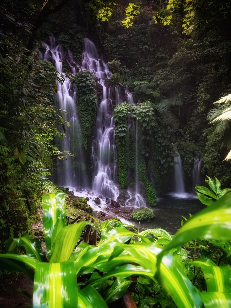 Фотография автора Henri Fitriadi