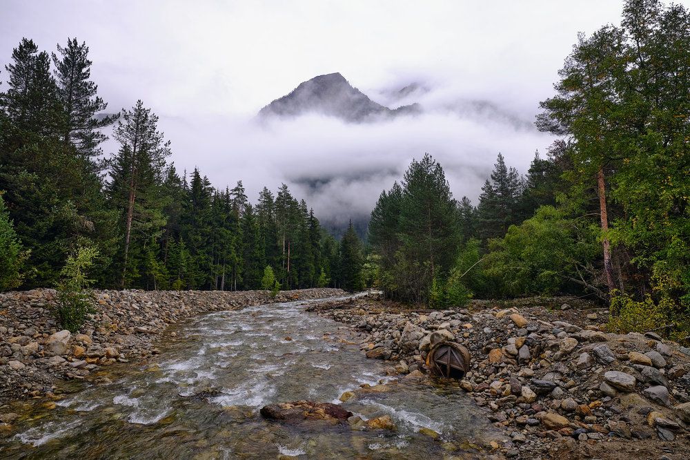 Photograph by Ирина