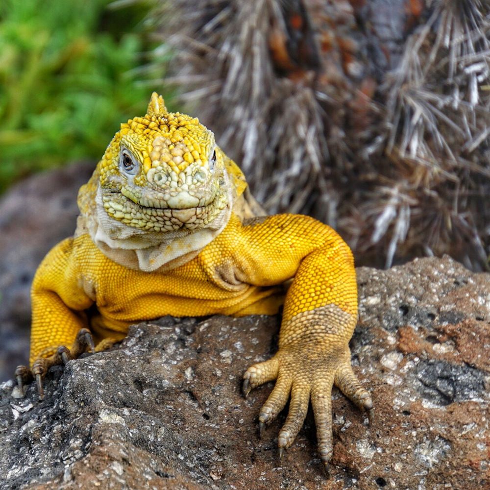 Photograph by Tatyana